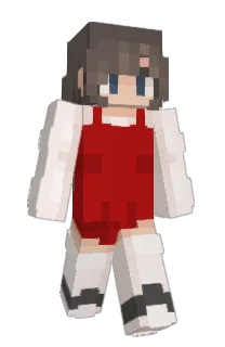 Front of bawarry's skin