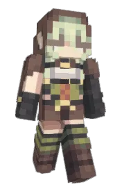 Skin preview