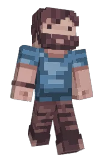 eNVyArcade Minecraft avatar full body