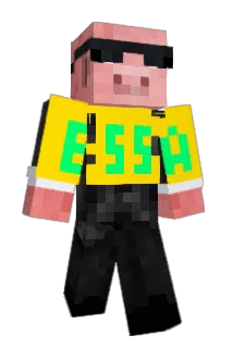 eQQuS12 Minecraft avatar full body