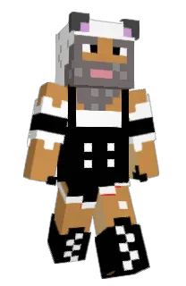 Front of Minecraft skin
