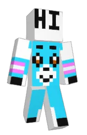 Skin preview