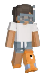armadillo and ebb Minecraft skin — Slim model — first worn by reveyl