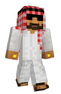 Front of pingorio's skin