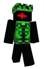 Skin preview