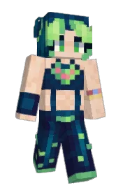 Skin preview
