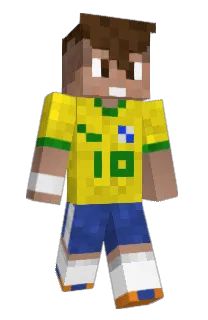 trycasse's Minecraft skin