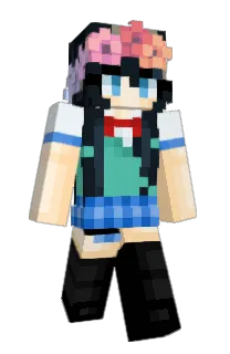 Front of Pycko's skin