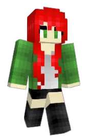 Skin preview