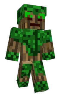 Front of Minecraft skin