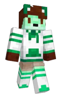 Front of NegativeAward's skin