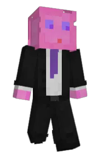 Front of S1mehy's skin
