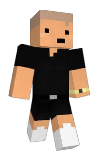 Front of szwt's skin