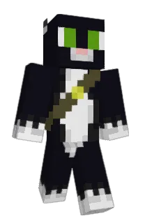 Front of Slousy's skin