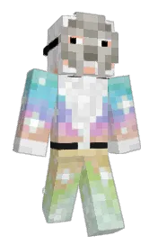 Skin preview