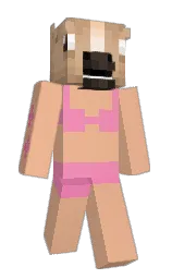1082ms's Minecraft skin wearing the Migrator cape