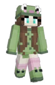 Skin preview