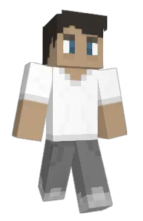 Front of Visnox's skin