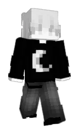 black and gallery Minecraft skin — Slim model — first worn by ULF4689