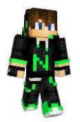 NicHub
