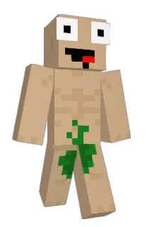 tobis_123's Minecraft skin