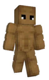 Minecraft skin — Classic model