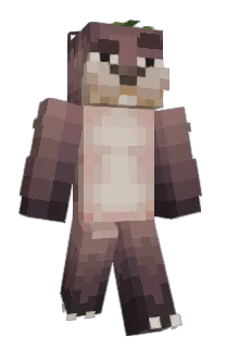 Front of Resucted's skin