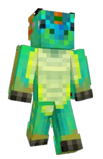 Front of Lizararaga's skin