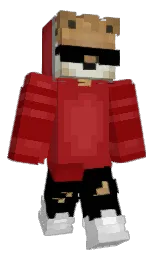 Minecraft skin — Classic model