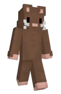 Front of sysicks's skin