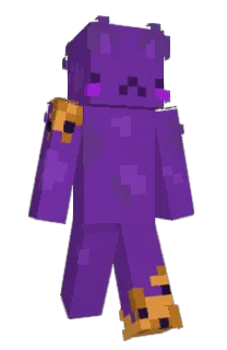 Front of zenithows's skin