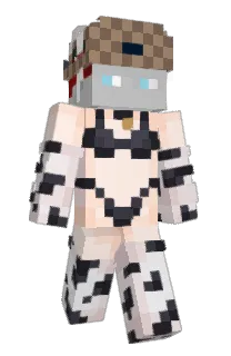 Front of DiamantPicke's skin