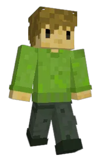 Front of Plastkast's skin