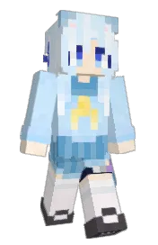 Skin preview