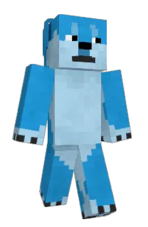 Front of PC's skin