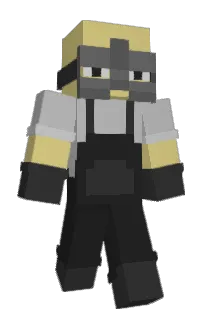 Front of henkatt's skin