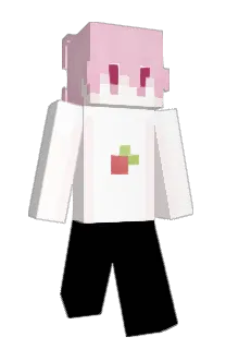 Front of xeeei's skin