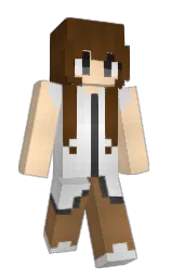 t3xry's Minecraft skin wearing the Home cape