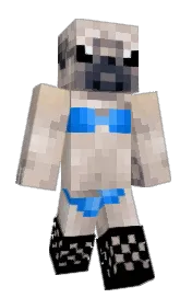 Skin preview