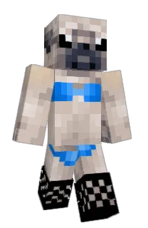 Front of Minecraft skin