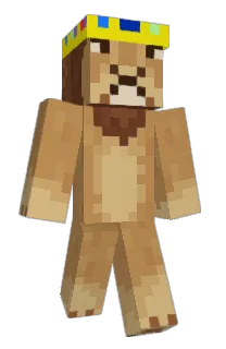 Front of noobblox900's skin