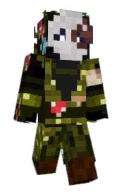 Skin preview