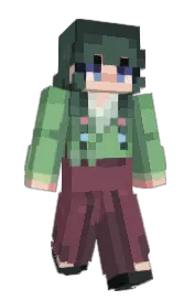 Skin preview