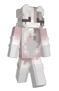 Front of qygn's skin