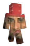public_void