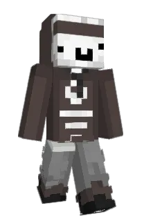 Front of Flitszz's skin