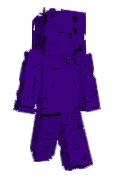 Anomidae
