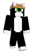 FlowerCat6