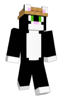 Front of FlowerCat6's skin