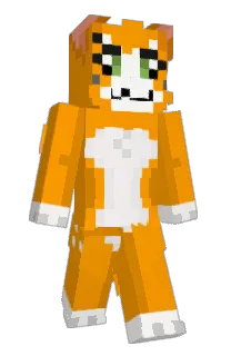Front of sshshark's skin